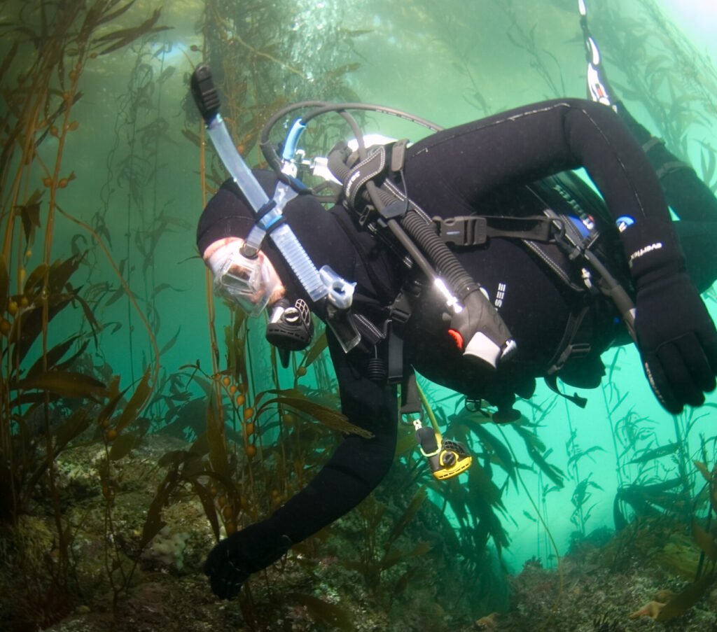 Diver looking at reef