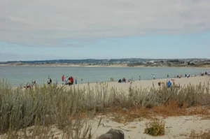 Del Monte Beach looking towards Marina