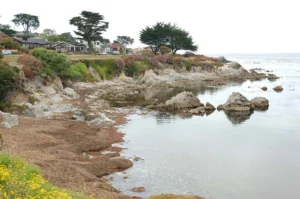 Otter Cove