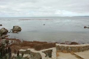 Otter Cove