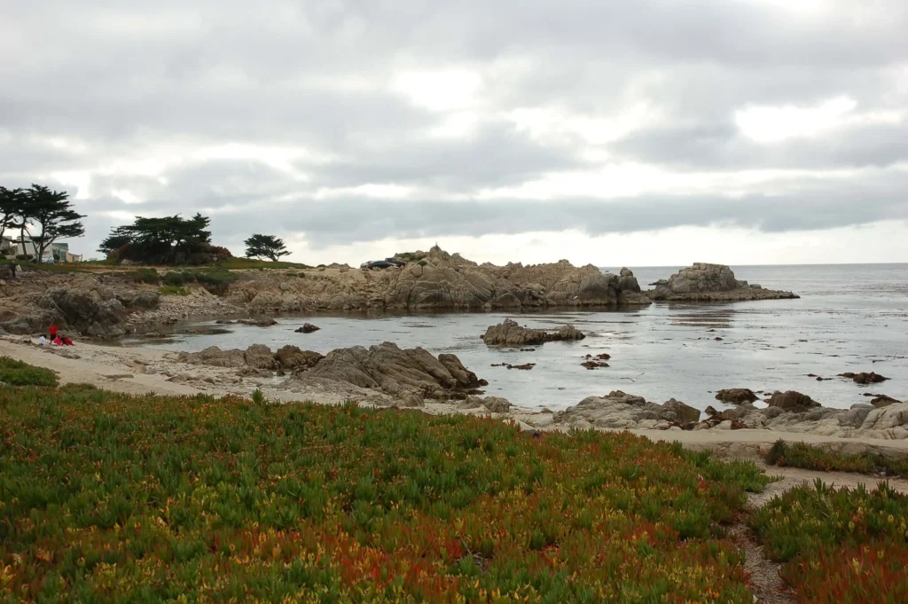 Coral Street Beach