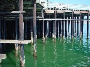 Santa Cruz Wharf