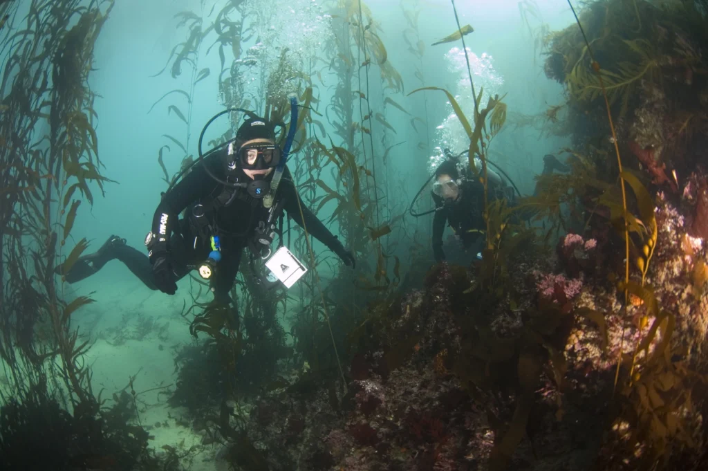 Divers at Monastery