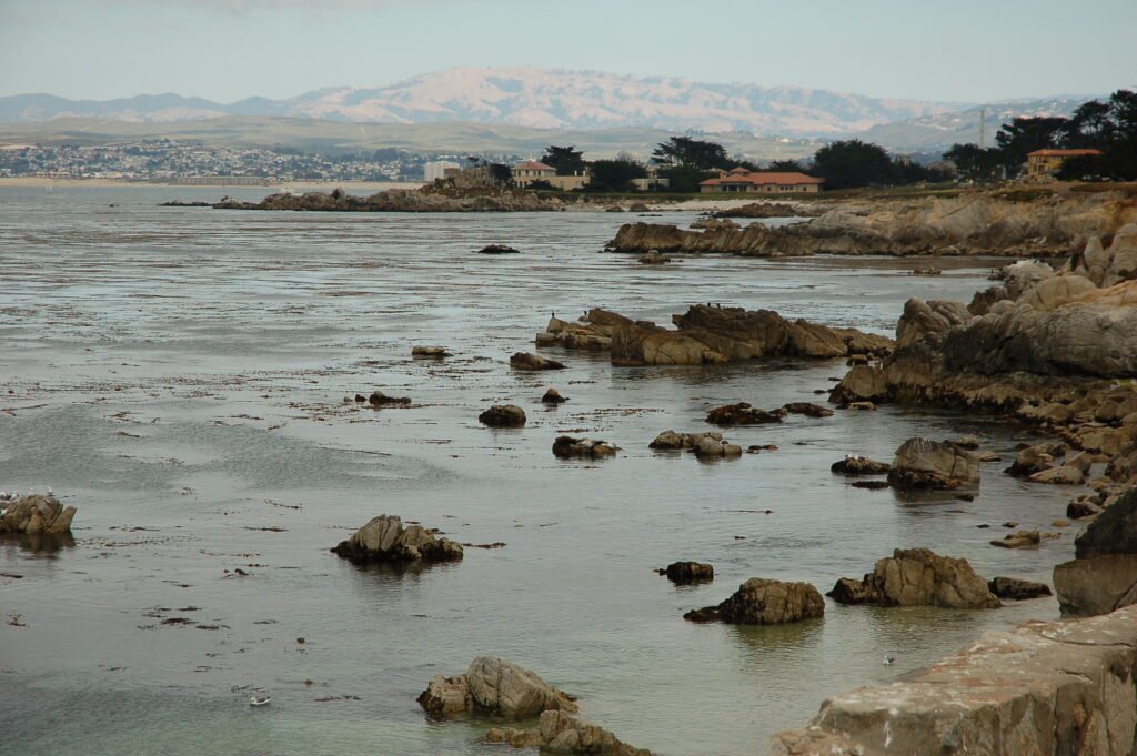 Lovers Cove looking South